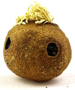 фото - Черный чай Дянь Хун с жасмином в лимоне. 15 г.