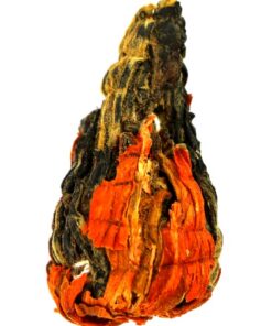 фото - Чай Дянь Хун Бао Та Красная пагода