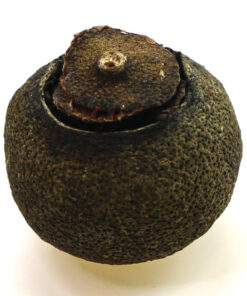 фото - Шу Пуэр в мандарине. 6 лет 10-13г