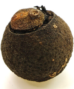 фото - Чай пуер, шу пуер у мандарині Китайський мандарин 10-13г