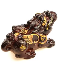 фото - Трьохлапа жаба яка змінює колір (Копировать)