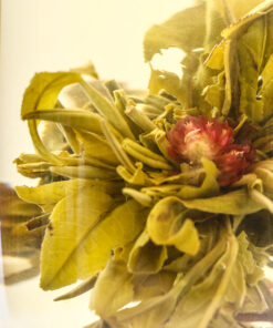 фото - Связанный чай “Серебряная вишня”, белый чай с хризантемой, чайный шарик