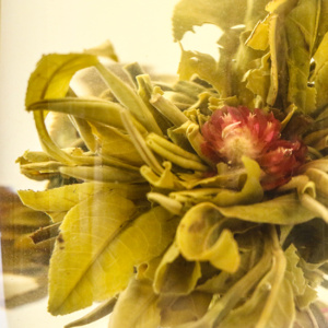 фото - Связанный чай “Серебряная вишня”, белый чай с хризантемой, чайный шарик