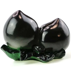 фото - Личи 1шт меняет цвет высота 5 ширина 5 глубина 5