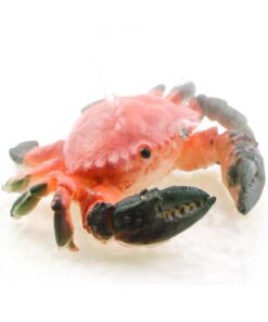 фото - Личи 1шт меняет цвет высота 5 ширина 5 глубина 5