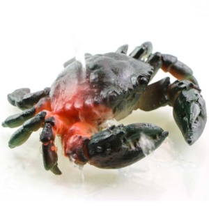 фото - Личи 1шт меняет цвет высота 5 ширина 5 глубина 5