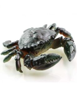 фото - Личи 1шт меняет цвет высота 5 ширина 5 глубина 5