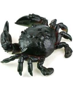 фото - Личи 1шт меняет цвет высота 5 ширина 5 глубина 5