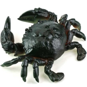 фото - Личи 1шт меняет цвет высота 5 ширина 5 глубина 5