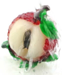 фото - Личи 1шт меняет цвет высота 5 ширина 5 глубина 5