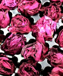 фото - роза  леоферезированные