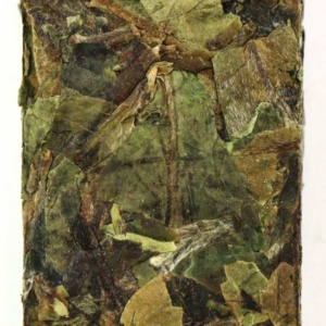 фото - белій чай. 4 мини точи. 4 мини точи по 5г