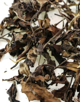 фото - Білий чай ГАБА, китайський байховий чай Габарон Бай Ча фото - Білий чай ГАБА, китайський байховий чай Габарон Бай Ча