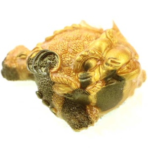 фото - жаба меняет цвет 8х6х3 см