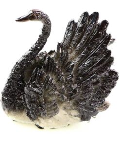 фото - лебедь меняет цвет