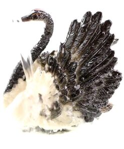 фото - лебедь меняет цвет