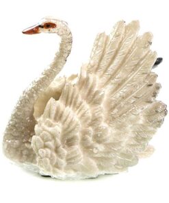 фото - лебедь меняет цвет