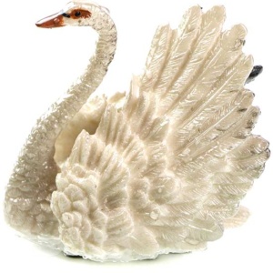 фото - лебедь меняет цвет