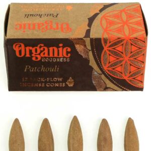 фото - Конуси Backflow gfxekb 12 конусов в упаковке