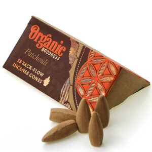 фото - Конуси Backflow gfxekb 12 конусов в упаковке