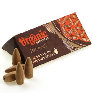 фото - Конуси Backflow gfxekb 12 конусов в упаковке