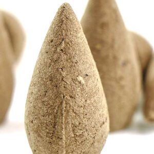 фото - Конуси для Backflow Полин 40 конусів