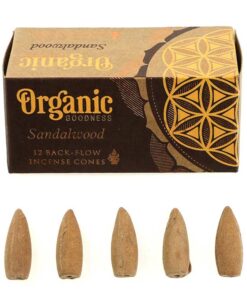 фото - Конуси Backflow Сандал 12 конусов в упаковке