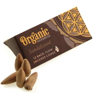 фото - Конуси Backflow Сандал 12 конусов в упаковке