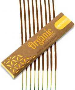 фото - Organic Goodness Masala 15 грам Пачулі (Копировать)