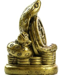 фото - AUTO-DRAFT