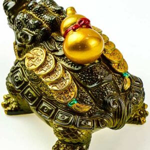 фото - пияо с улоу на спине