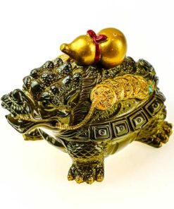 фото - пияо с улоу на спине