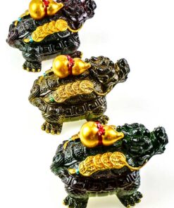 фото - пияо с улоу на спине