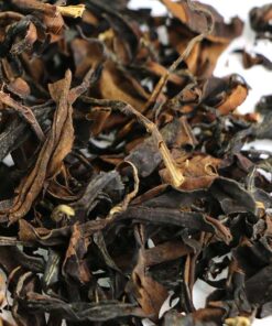 фото - AUTO-DRAFT