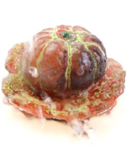 фото - мандаринка меняет цвет 7х7х4см