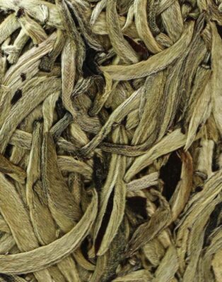 фото - AUTO-DRAFT фото - AUTO-DRAFT