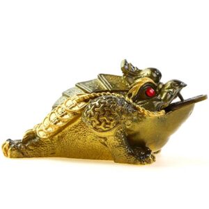 фото - жаба меняет цвет 10х6.5х4.5