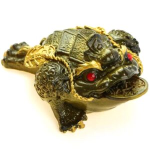 фото - жаба меняет цвет 10х6.5х4.5