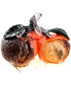 фото - Чайна іграшка Лічі