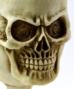 фото - Кубок Череп з полістоуну