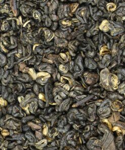 фото - Золотая улитка 2025год