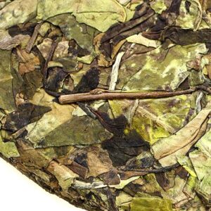 фото - AUTO-DRAFT