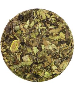 фото - AUTO-DRAFT