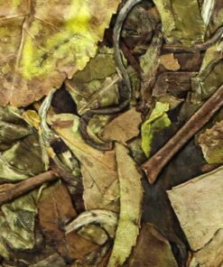 фото - AUTO-DRAFT