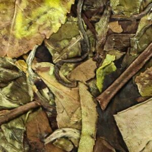 фото - AUTO-DRAFT