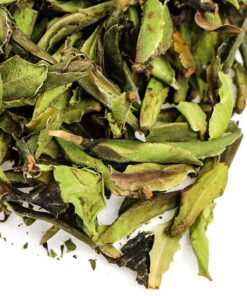 фото - дикий белый чай 2025г