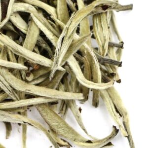 фото - гушу байхао 2025 весна