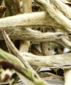 фото - гушу байхао 2025 весна