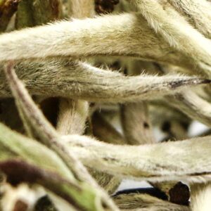 фото - гушу байхао 2025 весна