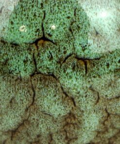 фото - Набор пиал подарочная 100 мл. 5шт в коробке